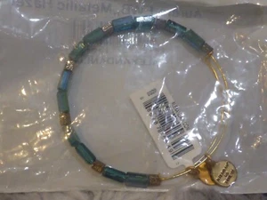 Pulsera con cuentas de avellana metálica Alex and ANI Aurora nuevo con etiquetas bolsa antipolvo $28 - Imagen 1 de 2
