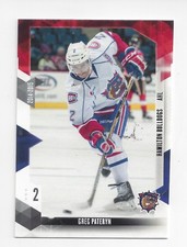 2014-15 Hamilton Bulldogs (AHL) Greg Pateryn (Minnesota Wild)