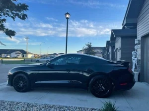 Mustang gt - Picture 1 of 14