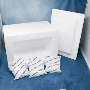 Styrofoam Insulated Shipping Mailer Cooler + 3 Ice Packs : PERISHABLES MEDS FOOD - Picture 1 of 4