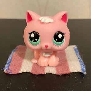Authentic Littlest Pet Shop #2575 Pink white kitten cat - Picture 1 of 11