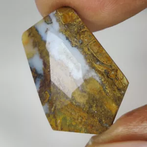 8.72 Ct ~ 1$ No Reserve Auction Natural Well Polished Jasper Fancy Pear Cab - Picture 1 of 2