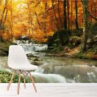 Waterfall By Autumn Trees Wall Mural Wallpaper WS-42402