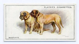 MASTIFF PLAYERS 1925 ISSUE SCENIC SERIES OLD DOG CIGARETTE CARD #18 - Foto 1 di 2
