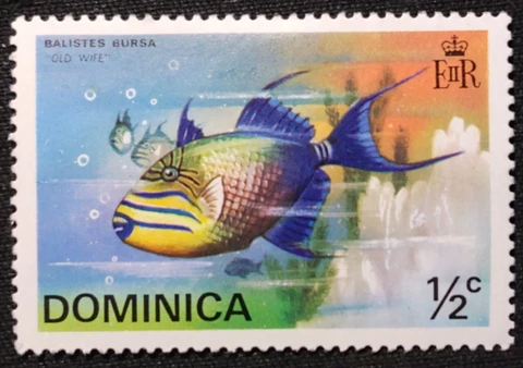 1975 Dominica Old Wife Fish 1/2c Stamp FREE2Ship w/TRACKING! (S823) Cover