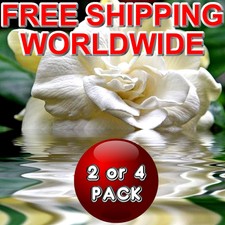 GARDENIA Scented Potpourri Sachets VEGAN & CRUELTY FREE