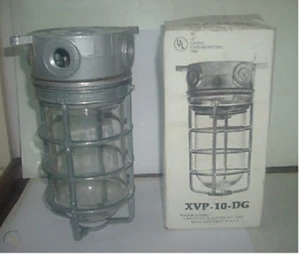 MAJOR XVP-10-DG Industrial Cage Ceiling Wall Light Fixture - Picture 1 of 2