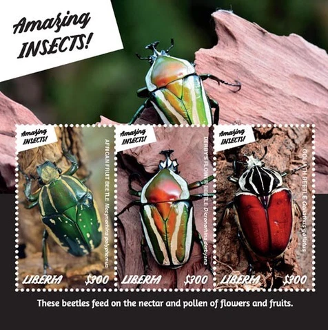 Liberia 2019 - Amazing Insects Beetles - Sheet of 3 stamps - Scott #3319- MNH Cover