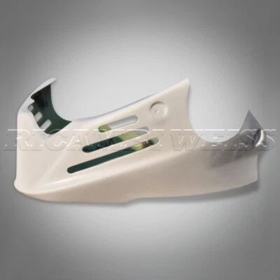 DR410 KAWASAKI Z750 04-06 alerón de proa PRFV revestimiento de proa revestimiento NUEVO