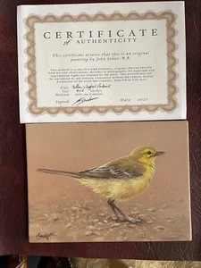 Quadro su tela argento Wagtail Bird olio originale John artista britannico 20 x 15 cm - Foto 1 di 13