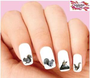 Waterslide Nail Decals Set of 20 - Grey Squirrel Assorted