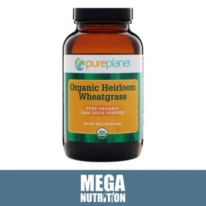 Wheatgrass & Alfalfa Leaf Juice Powder Shots 90g | Alkalize Organic Detox Vegan - Picture 1 of 1