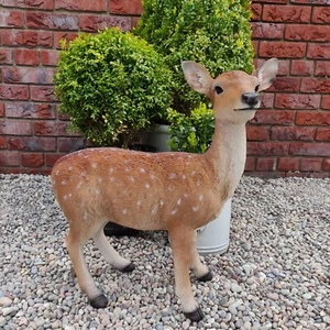 Vivid Arts - Large Fallow Deer - Picture 1 of 9