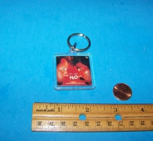 Vintage 1980er Rock'n'Roll Schlüsselanhänger / Keyring Hall & Oats H2O - Bild 1 von 2