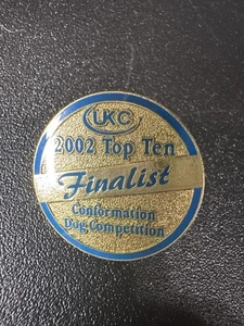 2002 UKC Top Ten Finalist Conformation Dog Competition Pin Gold Tone 1” - Picture 1 of 2