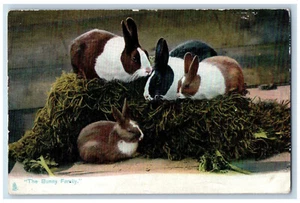 Blackpool England Postcard The Bunny Family 4 Bunnies 1907 Oilette Tuck Art - Picture 1 of 2