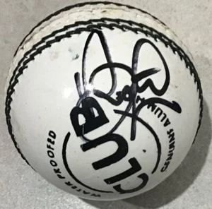 Australia Cricket Legend Brett Lee Signed Cricket Ball - Picture 1 of 2