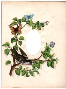 Colorful Photo Album Page 208x282mm for 1 CDV Bird Butterfly circa 1880 - Picture 1 of 2