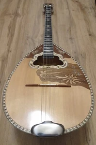 GREEK BOUZOUKI - PRO & HARDCASE & Pickup & 300 Backing Track With Pdf Scores - Picture 1 of 19