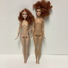 Lot de 2 poupées Barbie avec cheveux bouclés rouges fashionistas nus #29 grand mattel 2015