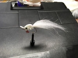 Saltwater Flies Schminnow/Gurgler 1/0 Snook,Tarpon,redfish - Picture 1 of 8