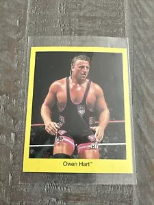 Owen Hart WWF WWE Wrestler Trivia Card 2.5" x 3" - Picture 1 of 2