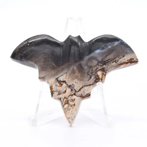 67mm Crystal Gemstone Fossilised Palm Root Bat Healing Mineral Natural - Picture 1 of 3