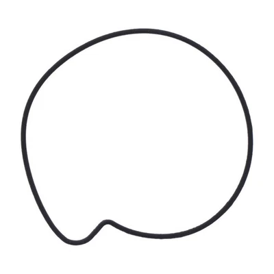 Junta De Bomba De Agua JMP 11517729664 Para BMW 650 C SPORT 2015-2021 - Imagen 1 de 2