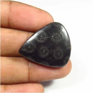 Pietra Preziosa Fossile Nera Naturale 28x24 mm Pera Fossile Cabochon Liscio 24 Cts FL-112 - Foto 1 di 9