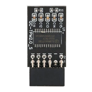 TPM2.0 Verschlüsselung Sicherheitsmodul Für GIGABYTE 12Pin LPC Schnittstell TOS - Bild 1 von 11