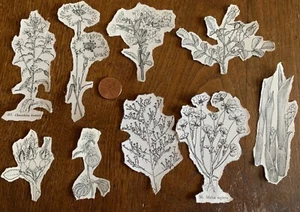 Pkg 125 Fussy Cut Flowers Black & White - Paper Crafters, Junk Journals - Picture 1 of 3