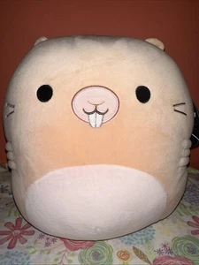 Squishmallows 12 pulgadas Select Series Majorie The Naked Mole Rat NUEVO Kellytoy - Imagen 1 de 4