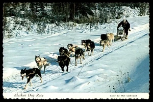 Postcard Alaskan Dog Race - Picture 1 of 2