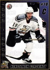 2000-01 Grand Rapids Griffins #9 Konstantin Gorovikov