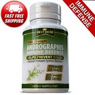 Andrographis Extract HERBAL  SUPPLEMENT  60 Capsules