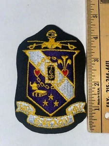 Tau Epsilon Phi 4.5" Embroidered Shield Crest Patch VINTAGE RARE FREE SHIP - Picture 1 of 1
