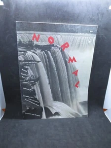 Normal Magazine Summer 1987 - Arts & Ideas Quarterly w/ Salman Rushdie Interview - Picture 1 of 12