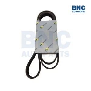 V-Ribbed Drive Belt for FIAT DUCATO from 2006 to 2020 - MQ (4) - Picture 1 of 1