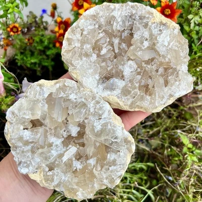 High Grade Quartz Geode Pair 1kg Rare Collectors Crystal Gemstone Specimen Shop - Image 1 of 4