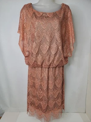 Vestido SL Moda De Colección Talla 10 Encaje Hasta la Rodilla Flecos de Cobre EE. UU. Forrado Metálico Foto 1 de 4