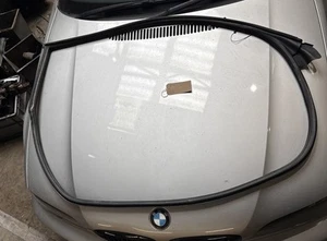 BMW 3er E46 Coupe Türdichtung rechts Fahrerseite RHD schwarz 51717161688 - Bild 1 von 17