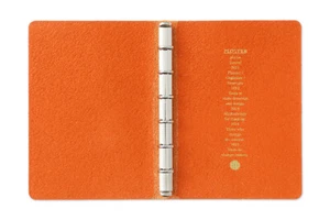 PLOTTER 5003 6-Ring Leather Binder Shrink Bible Size Orange Color - Picture 1 of 4