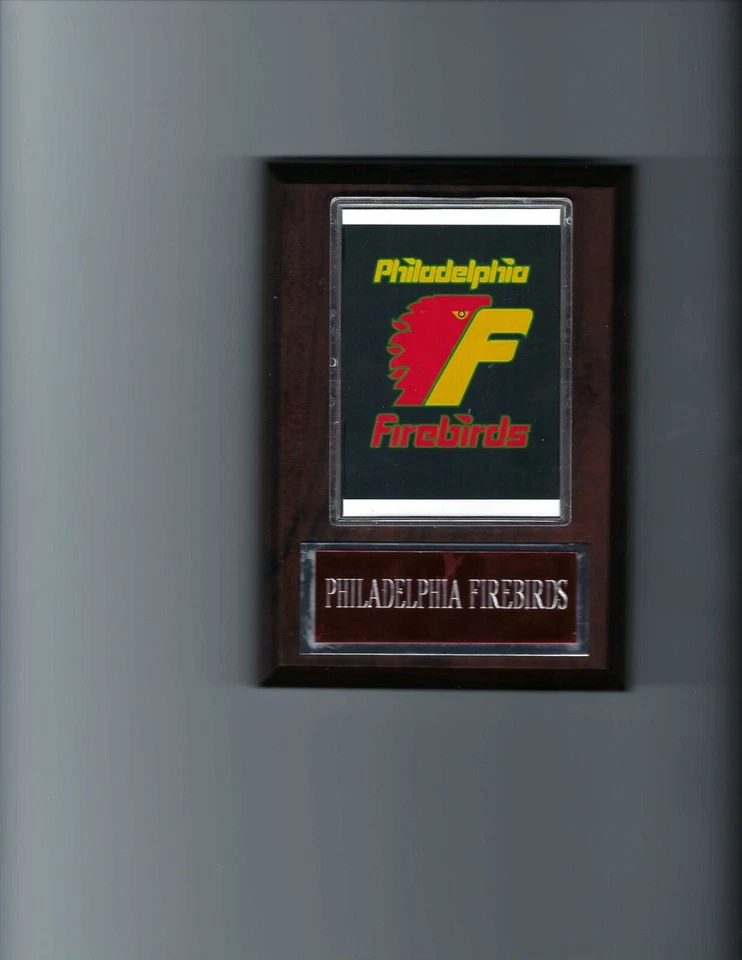 PLACA FILADELFIA FIREBIRDS HOCKEY NAHL AHL Foto 1 de 1
