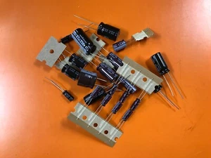 Nanao / Kaga 13" / 19" Cap Kit for Monitor Repair - All NICHICON Caps - Picture 1 of 2