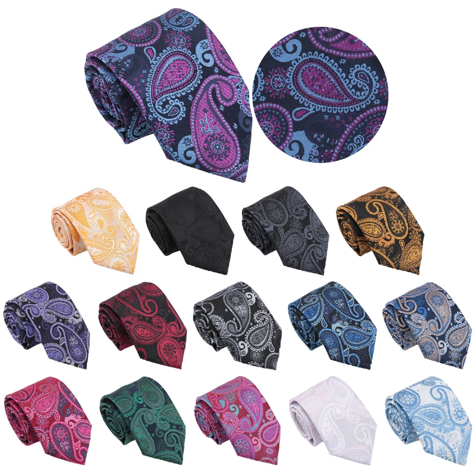 Mens Modern Style Classic Tie Paisley Bohemian Formal Wedding Necktie by DQT - image 1 of 1