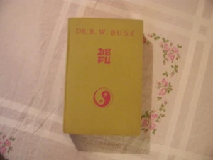China B. W. Busz DE FU Chinesisches - Allzuchinesisches - Bild 1 von 1