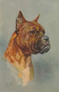 Rivst signierter Boxerhund - Bild 1 von 2