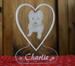 Fotogravur Hund Tier Foto auf Acrylglas individuelle Gravur + Geschenk - Picture 1 of 1