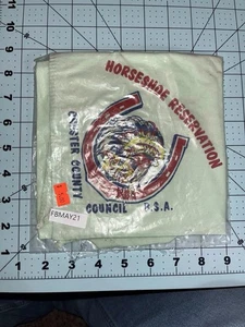 CHESTER COUNTY COUNCIL HORSESHOE RESERVATION CAMP NECKERCHIEF BOY SCOUT - Picture 1 of 1