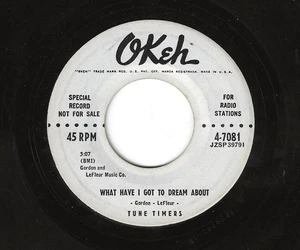 THE TUNE TIMERS 45RPM '57 OKEH WHAT HAVE I GOT TO DREAM ABOUT TEEN DOO WOP PROMO - Picture 1 of 1